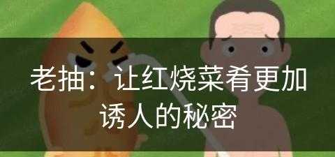 老抽：让红烧菜肴更加诱人的秘密